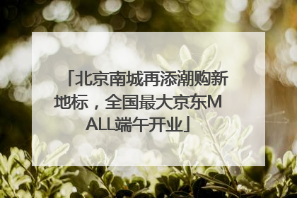 北京南城再添潮购新地标，全国最大京东MALL端午开业