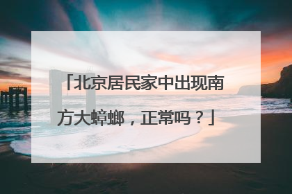 北京居民家中出现南方大蟑螂，正常吗？