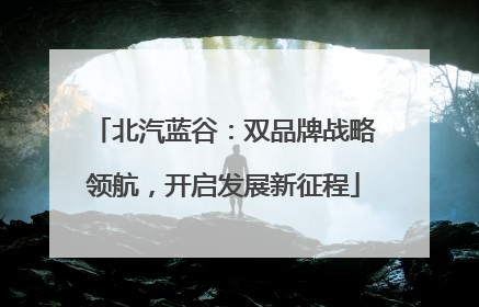北汽蓝谷：双品牌战略领航，开启发展新征程