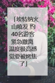 埃特纳火山喷发 约40名游客紧急撤离 温度极高感觉要被烤焦了