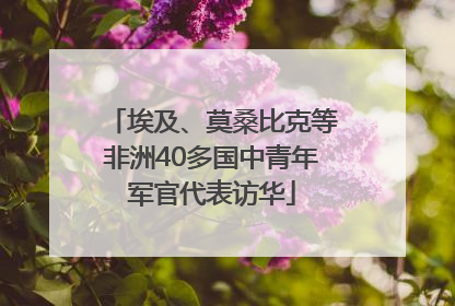 埃及、莫桑比克等非洲40多国中青年军官代表访华