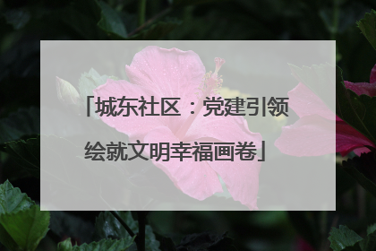 城东社区：党建引领绘就文明幸福画卷