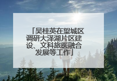 吴桂英在望城区调研大泽湖片区建设、文科旅医融合发展等工作