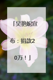 吴艳妮宣布：捐款20万！