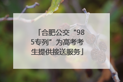 合肥公交“985专列”为高考考生提供接送服务