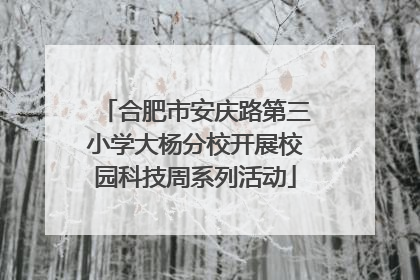 合肥市安庆路第三小学大杨分校开展校园科技周系列活动