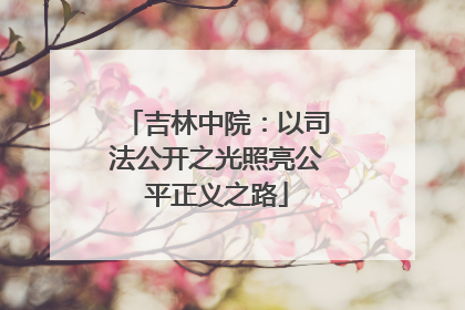 吉林中院：以司法公开之光照亮公平正义之路