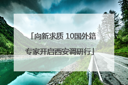 向新求质 10国外籍专家开启西安调研行