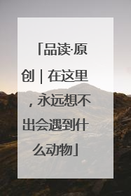 品读·原创｜在这里，永远想不出会遇到什么动物