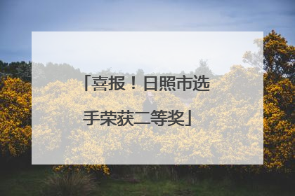 喜报！日照市选手荣获二等奖