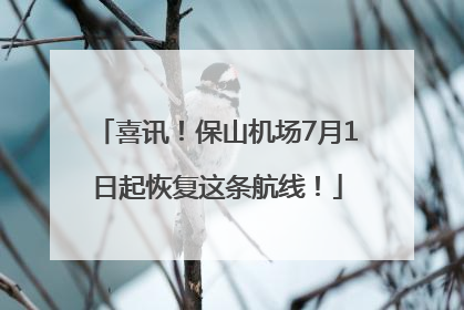 喜讯！保山机场7月1日起恢复这条航线！