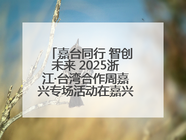 嘉台同行 智创未来 2025浙江·台湾合作周嘉兴专场活动在嘉兴经开区启幕