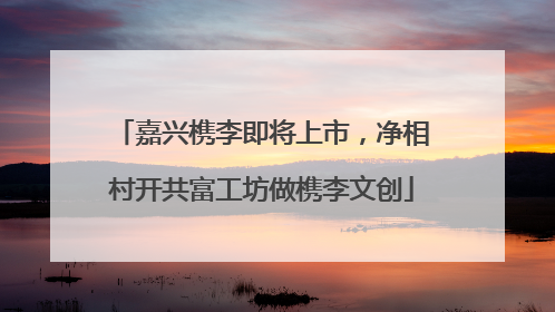 嘉兴槜李即将上市，净相村开共富工坊做槜李文创