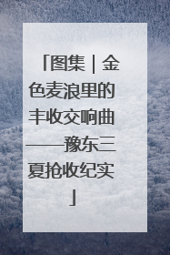 图集｜金色麦浪里的丰收交响曲——豫东三夏抢收纪实