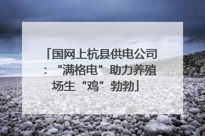 国网上杭县供电公司：“满格电”助力养殖场生“鸡”勃勃