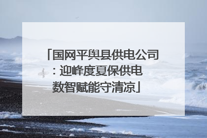 国网平舆县供电公司：迎峰度夏保供电  数智赋能守清凉