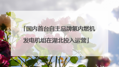 国内首台自主品牌氢内燃机发电机组在湖北投入运营