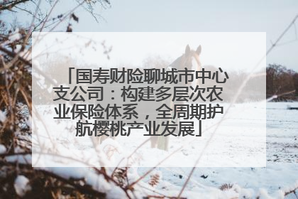 国寿财险聊城市中心支公司：构建多层次农业保险体系，全周期护航樱桃产业发展