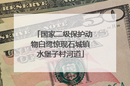 国家二级保护动物白鹭惊现石城镇水堡子村河道
