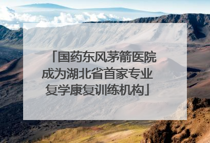 国药东风茅箭医院成为湖北省首家专业复学康复训练机构