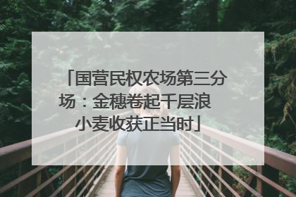 国营民权农场第三分场：金穗卷起千层浪 小麦收获正当时