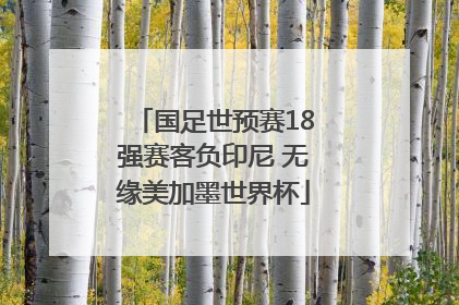 国足世预赛18强赛客负印尼 无缘美加墨世界杯