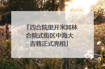 四合院里开米其林 合院式街区中海大吉巷正式亮相