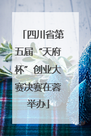四川省第五届“天府杯”创业大赛决赛在蓉举办