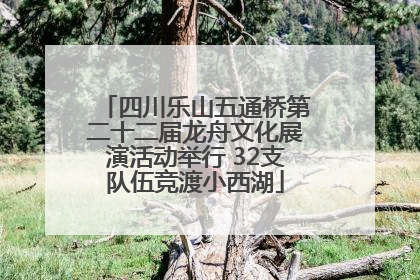 四川乐山五通桥第二十二届龙舟文化展演活动举行 32支队伍竞渡小西湖