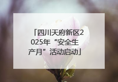 四川天府新区2025年“安全生产月”活动启动
