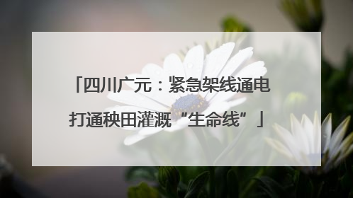 四川广元：紧急架线通电 打通秧田灌溉“生命线”