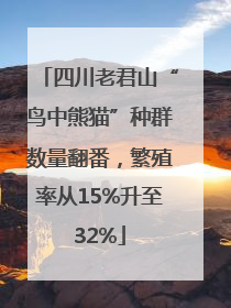 四川老君山“鸟中熊猫”种群数量翻番，繁殖率从15%升至32%