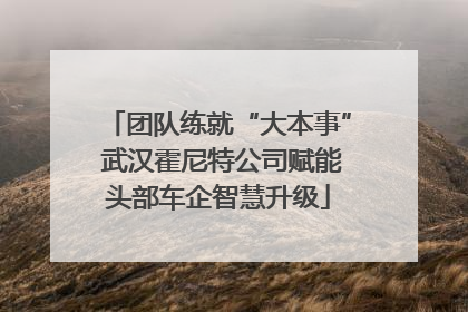 团队练就“大本事” 武汉霍尼特公司赋能头部车企智慧升级