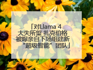 对Llama 4大失所望 扎克伯格被曝亲自下场组建新“超级智能”团队