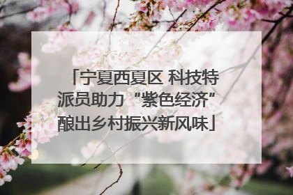 宁夏西夏区 科技特派员助力“紫色经济”酿出乡村振兴新风味