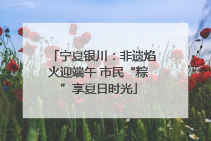 宁夏银川：非遗焰火迎端午 市民“粽”享夏日时光