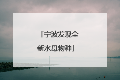 宁波发现全新水母物种