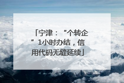 宁津：“个转企”1小时办结，信用代码无缝延续
