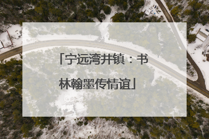宁远湾井镇：书林翰墨传情谊