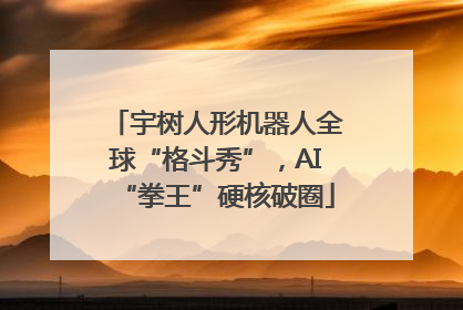 宇树人形机器人全球“格斗秀”，AI“拳王”硬核破圈