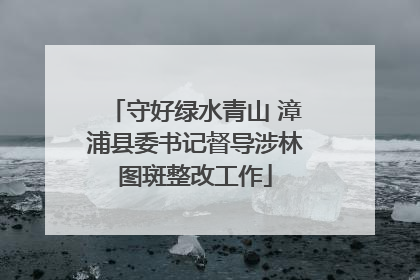 守好绿水青山 漳浦县委书记督导涉林图斑整改工作