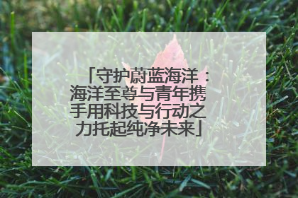 守护蔚蓝海洋：海洋至尊与青年携手用科技与行动之力托起纯净未来