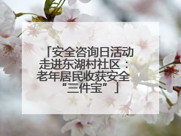 安全咨询日活动走进东湖村社区：老年居民收获安全“三件宝”