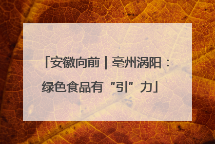 安徽向前｜亳州涡阳：绿色食品有“引”力