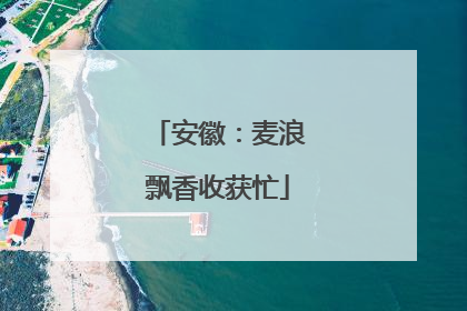 安徽：麦浪飘香收获忙