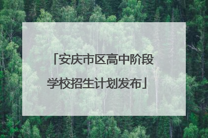 安庆市区高中阶段学校招生计划发布