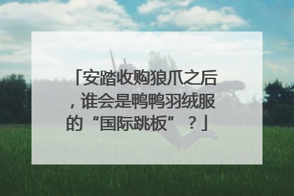 安踏收购狼爪之后，谁会是鸭鸭羽绒服的“国际跳板”？