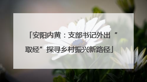 安阳内黄：支部书记外出“取经”探寻乡村振兴新路径