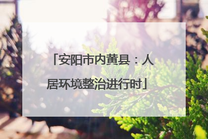 安阳市内黄县：人居环境整治进行时