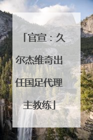官宣：久尔杰维奇出任国足代理主教练